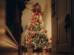 Christmas tree on Christmas Eve
